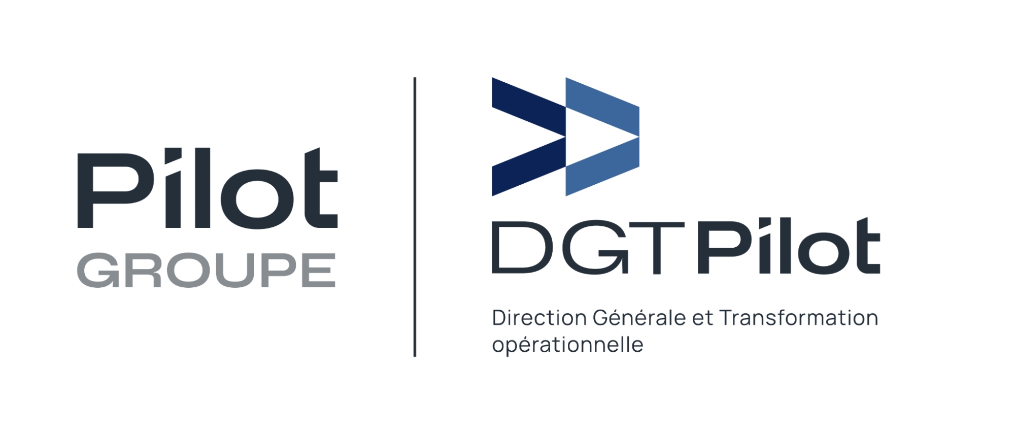 Logo DGT Pilot